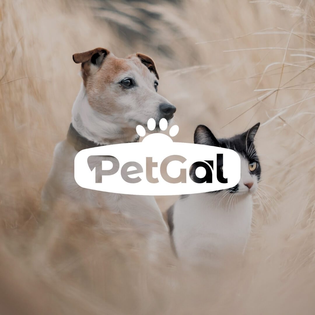 Proyecto Petgal de Anónimo Advertising