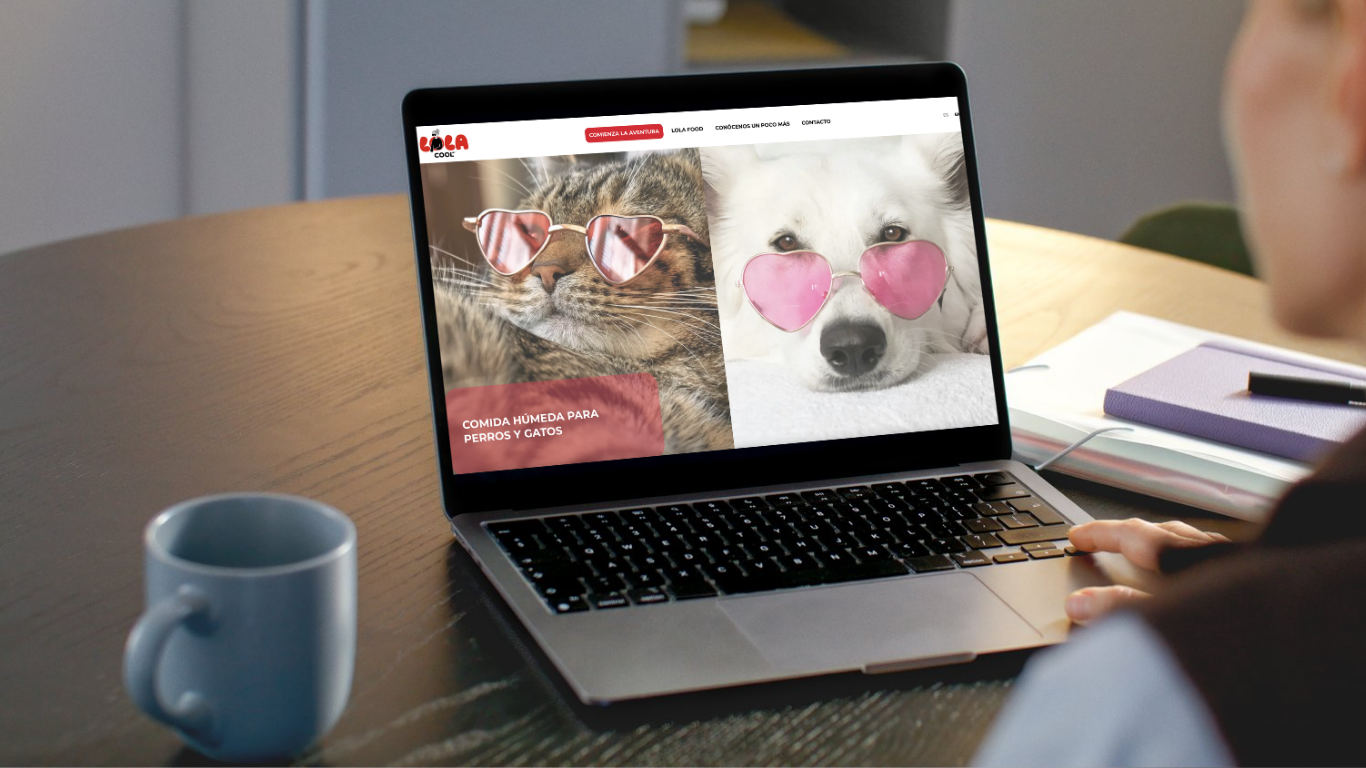 Web para LolaCool por Anónimo Advertising