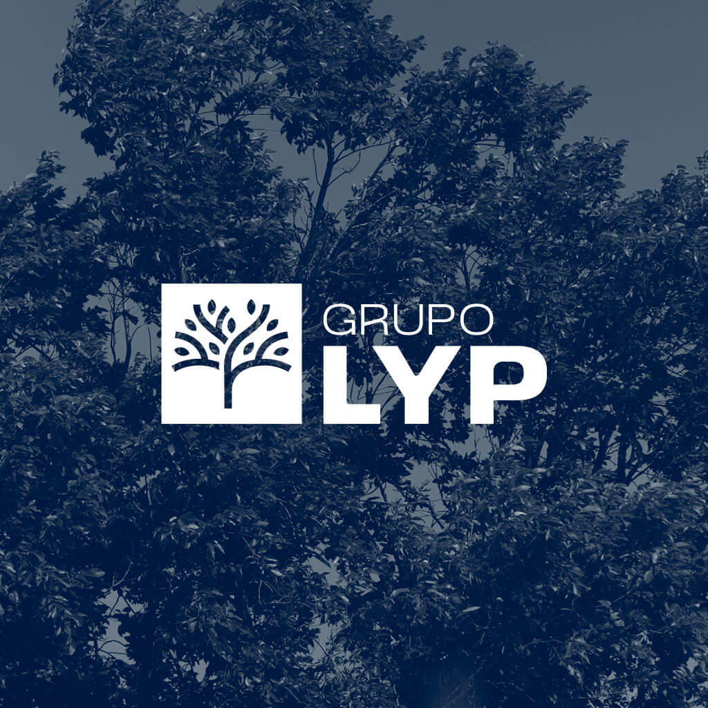 Proyecto para Grupo LYP - Anónimo Advertising
