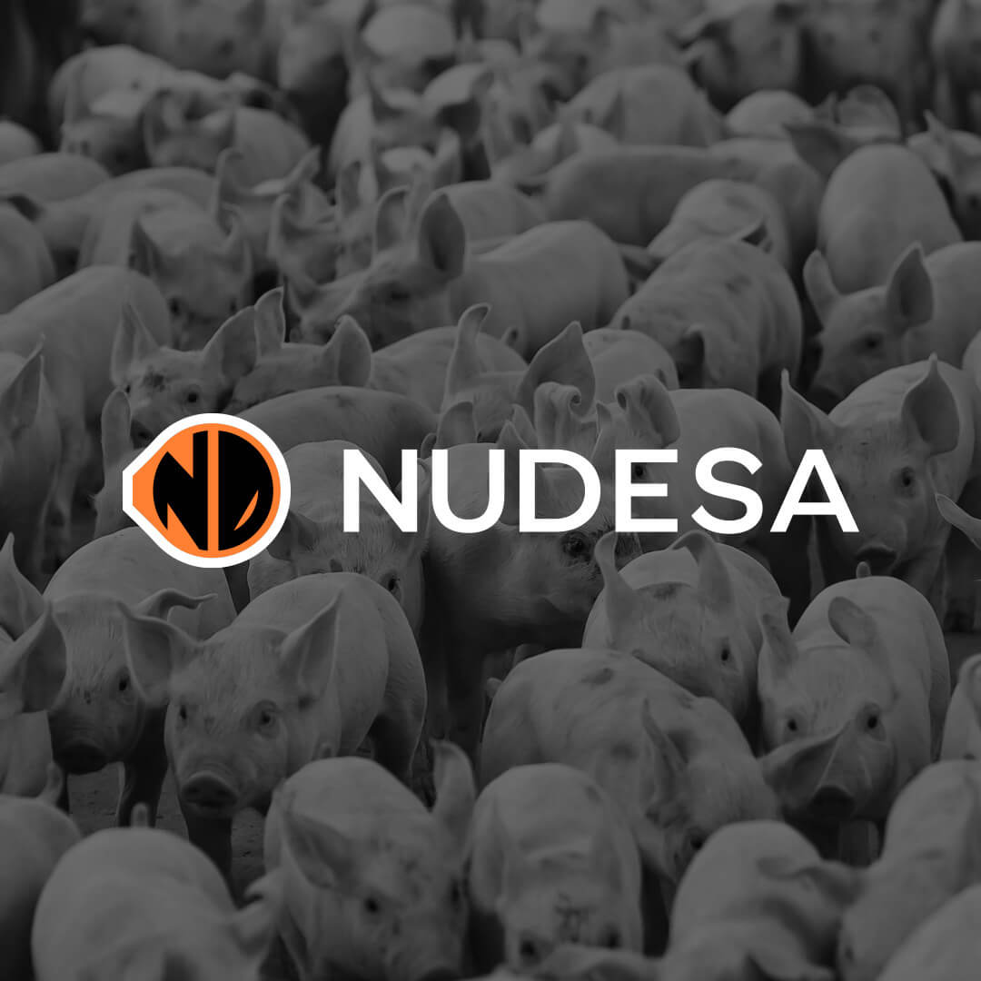 Proyecto Nudesa